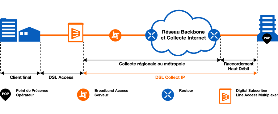 DSL Collect IP